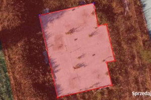 Działkę sprzedam 1000 metrów Solniczki