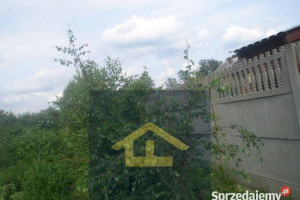 Działka w Nadbrzeżu