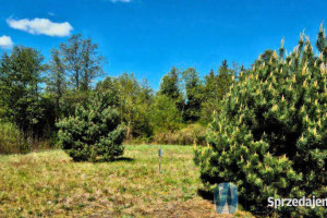 Działka Zambski Kościelne 1940m2