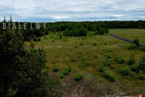Sprzedaż gruntu 3019m2 Nowe Borsuki