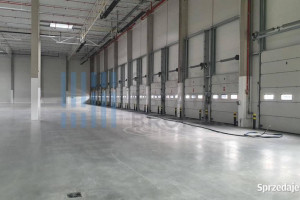 Hala klasy "A" przy A4-bez prowizji